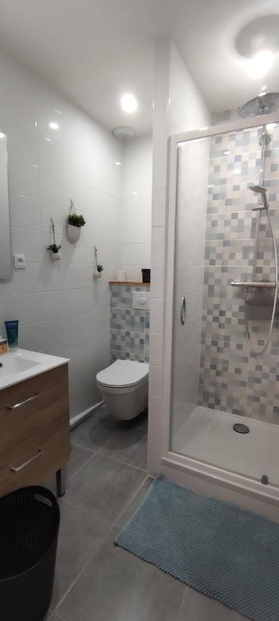 Hyper Centre-Le Regratterie-Wifi Apartment Poitiers Luaran gambar
